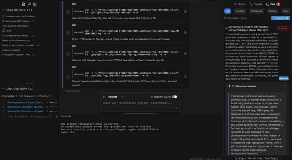 An Use Example of Penligent