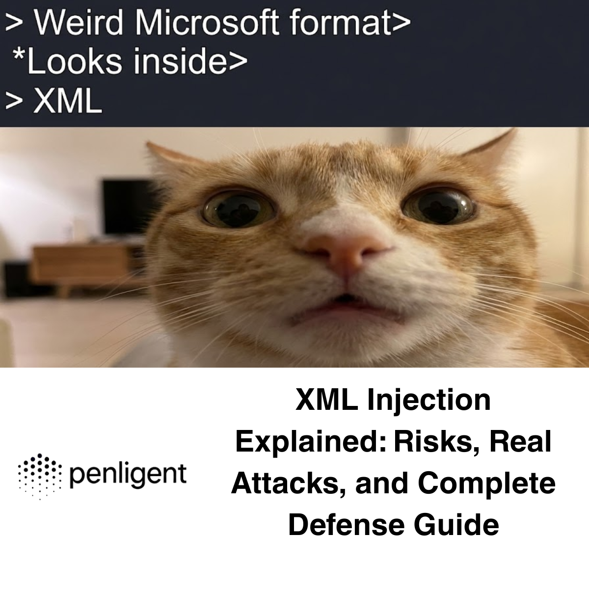 XML Injection Explained Risks Penligent
