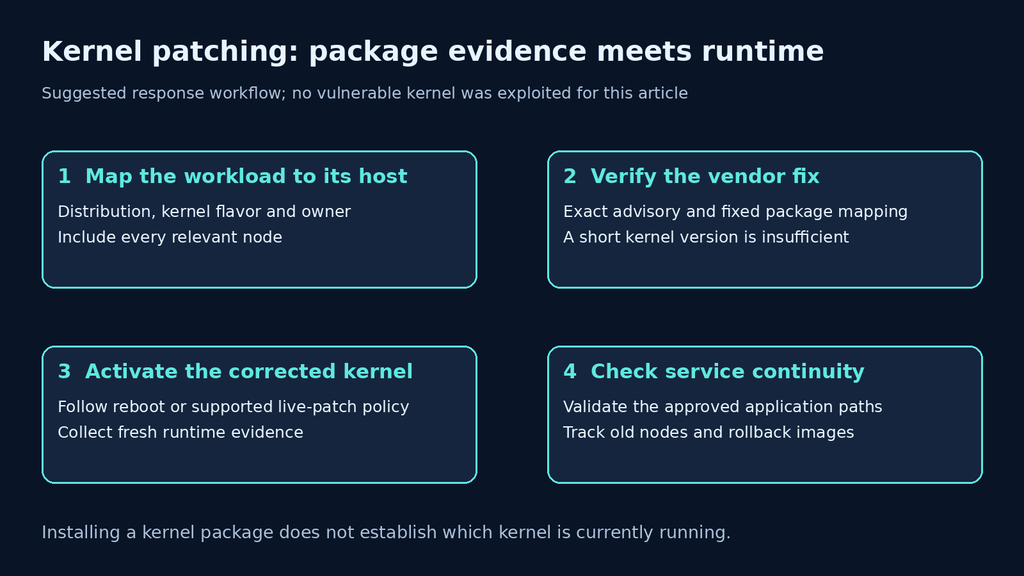 Kernel remediation workflow: map workloads to hosts, verify vendor packages, activate the correction and check service continuity.