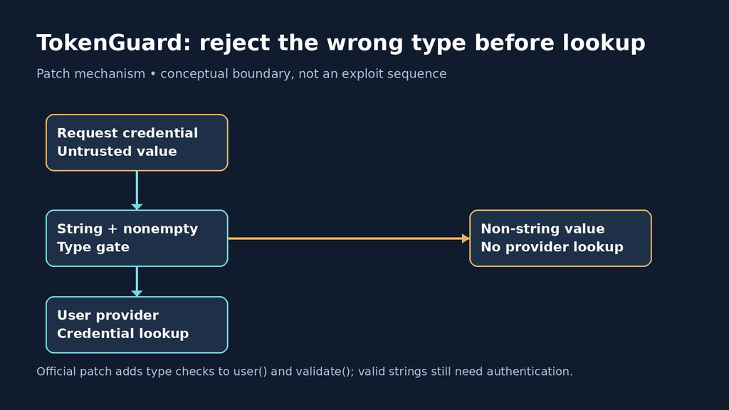 Conceptual TokenGuard boundary showing a string type gate before credential lookup and rejection of non-string input.