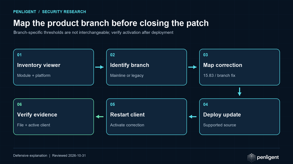 Patch workflow mapping TeamViewer module, platform, and maintenance branch to the corrected build, restart, and active-client verification.