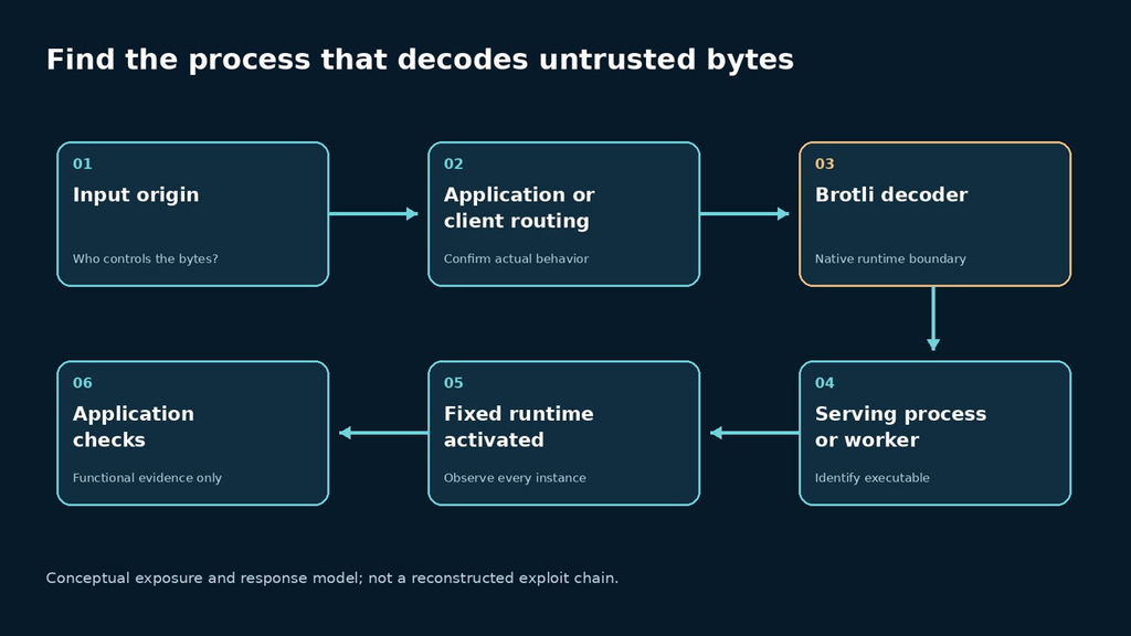 Conceptual Node.js Brotli decoding exposure and runtime response model