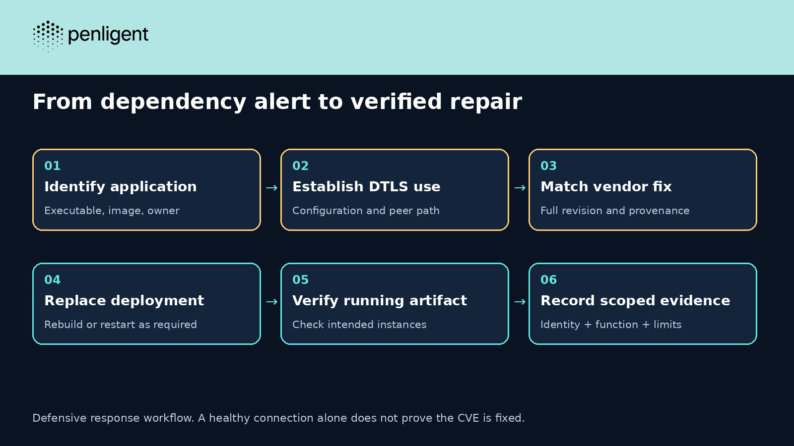 Defensive workflow from application inventory and DTLS scope to vendor patch, deployment replacement, and verified running evidence.