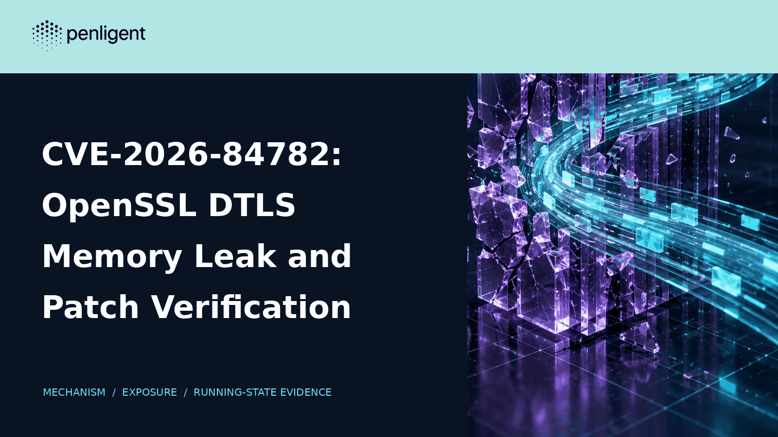 CVE-2026-84782 OpenSSL DTLS memory leak and patch verification editorial cover.