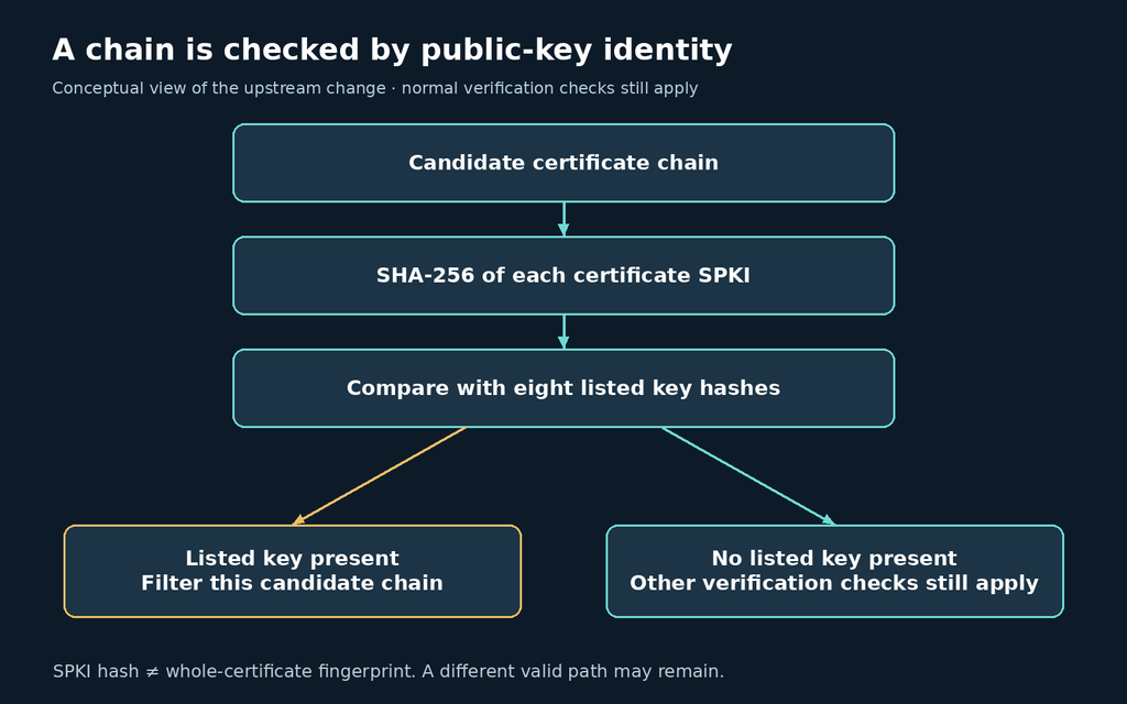 Conceptual Go x509 chain filtering by SHA-256 SPKI key identity
